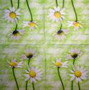 348 Daisies - 3-ply - CS